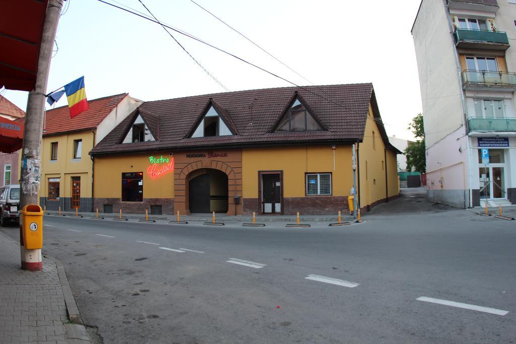 Pensiunea Blanca Reghin Bagian luar foto
