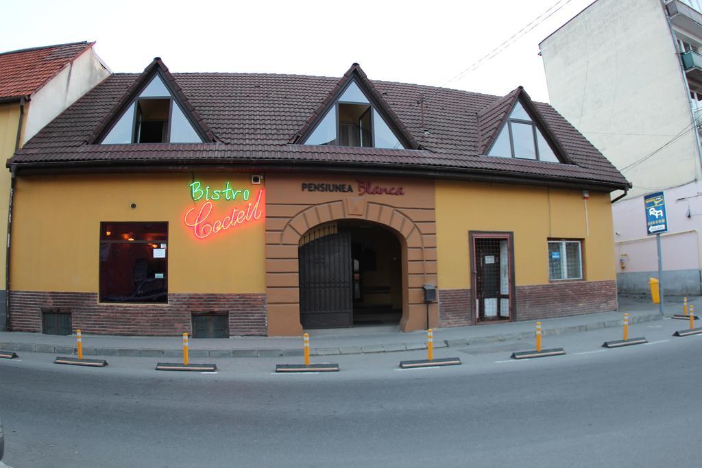 Pensiunea Blanca Reghin Bagian luar foto